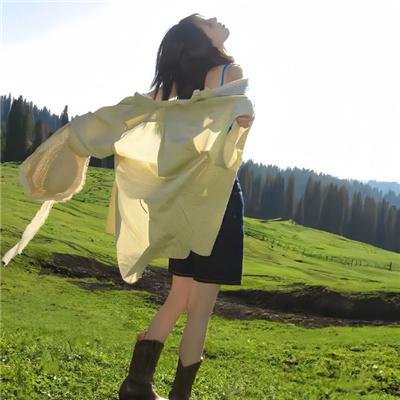王牌继承者