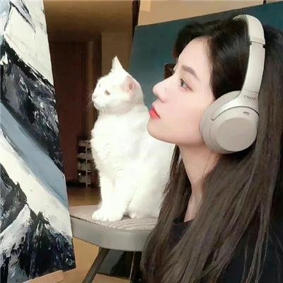 夫妻财产